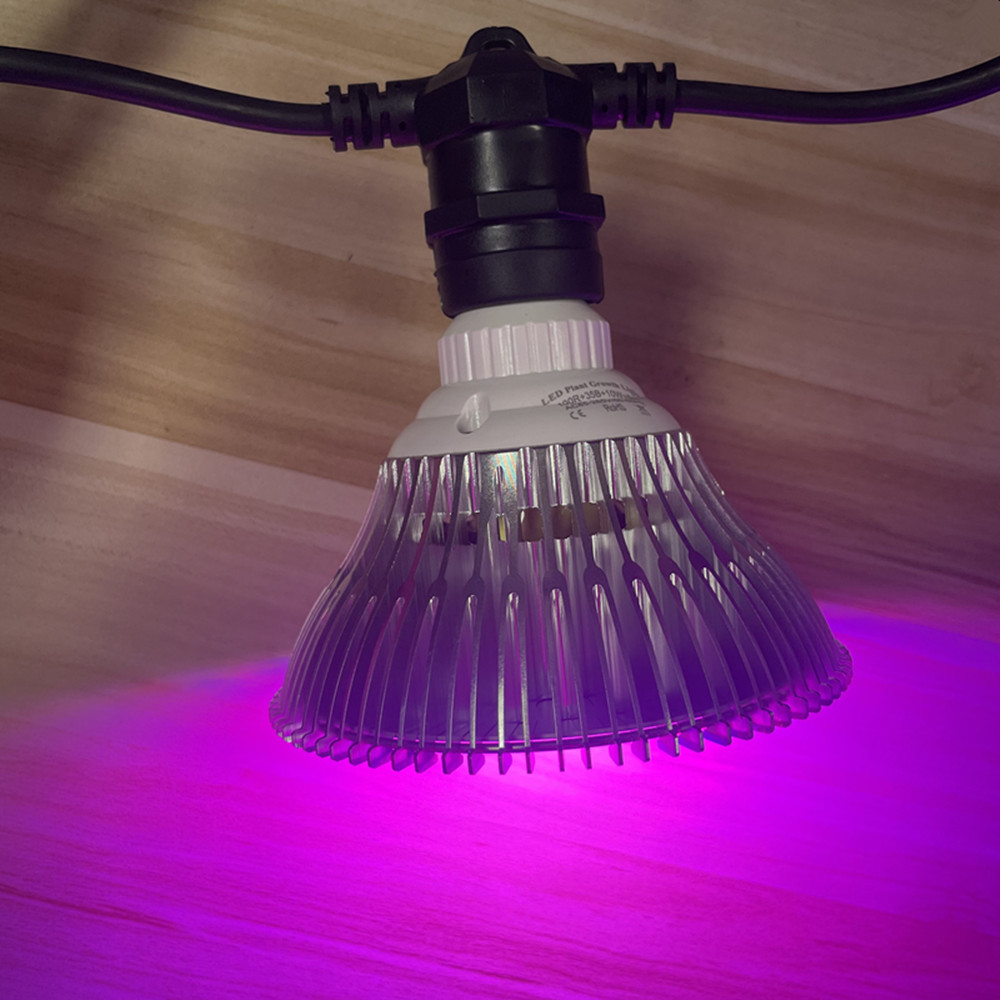 10M Kabel LED, komercyjna jako – Outdoor Lighting Replacement Bulbs recenzja i cena